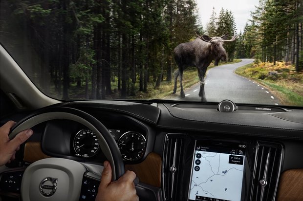 Volvo s90 распознает животных на дороге