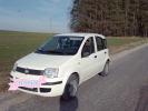 Продажа Fiat Panda 2008 в г.Гродно, цена 12 580 руб.