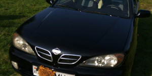 Продажа Nissan Primera 2000 в г.Борисов, цена 7 650 руб.